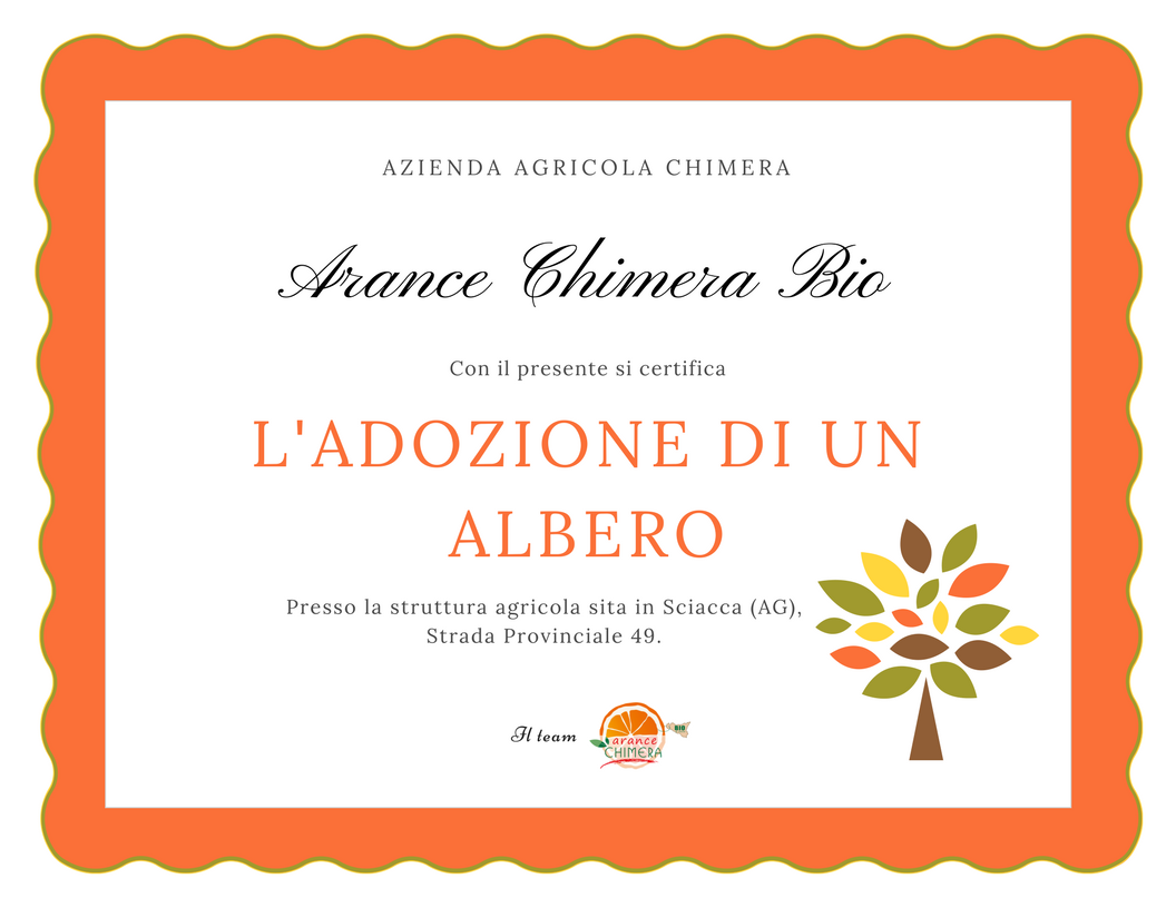 Certificato Adozione di un Arancio Chimera Bio