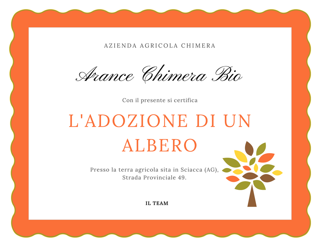 Certificato Adozione di un Arancio Chimera(1)