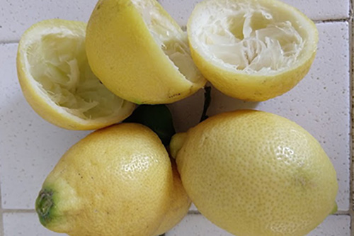 Limoni di sicilia