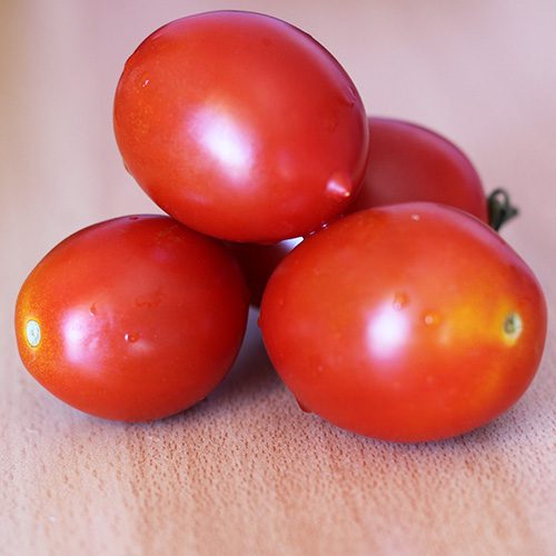 pomodori siciliani on-line