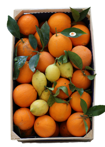 cassetta di arance