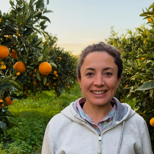 visita in agrumeto in Sicilia