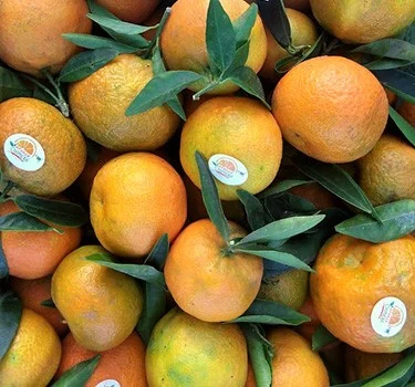 clementine