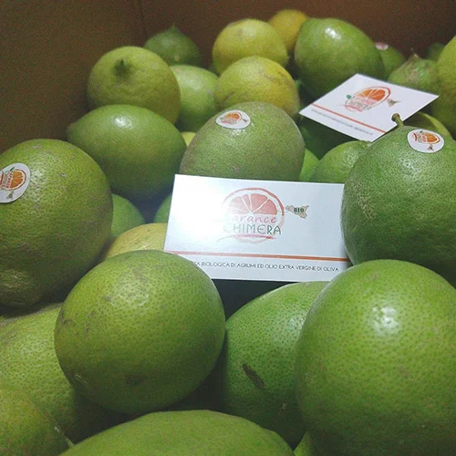 Limone verdello