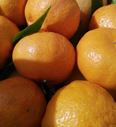 Organic mandarins